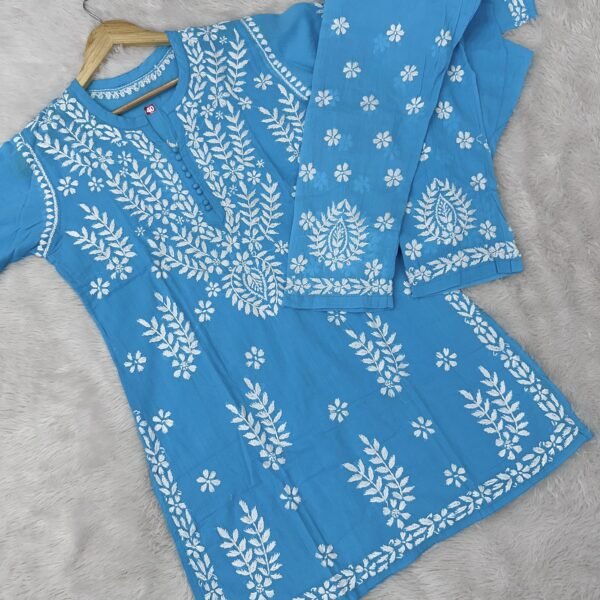Anvesha Chikankari Co-ord Set - Sky Blue